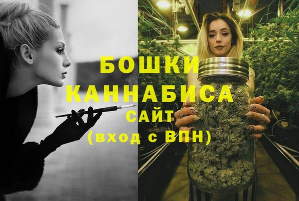 стафф Медногорск