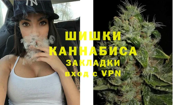 mdpv Бородино