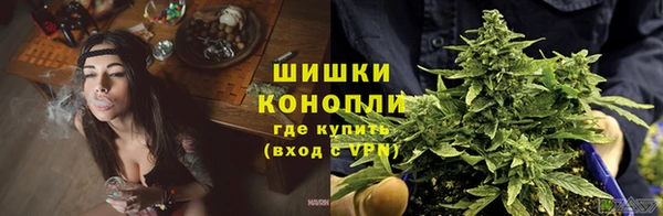 стафф Медногорск