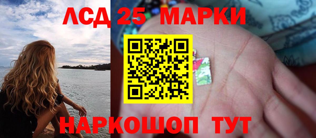 ЛСД экстази ecstasy  Лсд 25 экстази  Бердск  ЛСД экстази ecstasy  Вход с VPN 