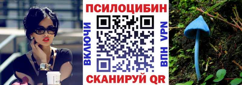 Псилоцибиновые грибы мухоморы Бердск