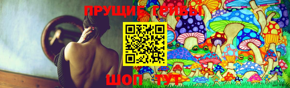 Псилоцибиновые грибы мицелий Бердск