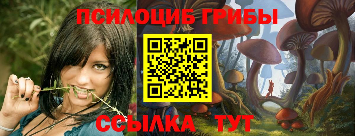 Галлюциногенные грибы прущие грибы  Вход с VPN  Бердск 