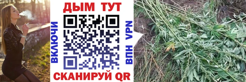 сайты даркнета как зайти  Бердск  Бошки Шишки марихуана  кракен сайт 