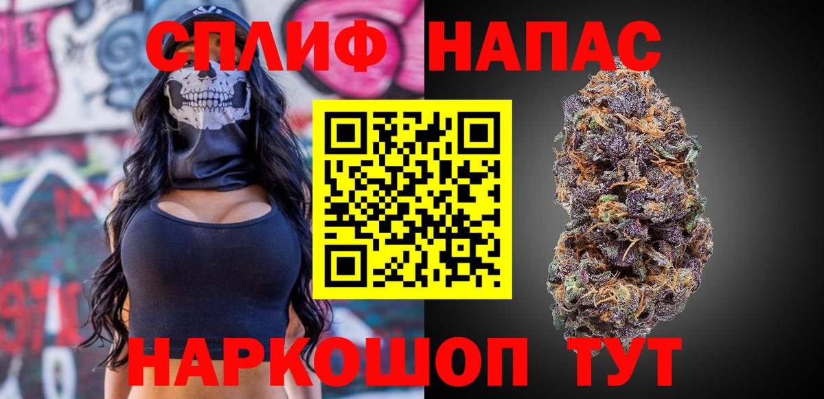 Канабис планчик Бердск